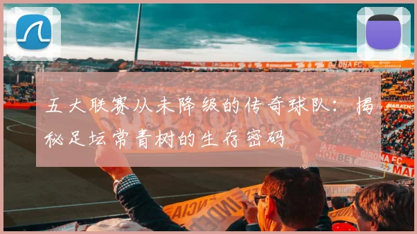 五大联赛从未降级的传奇球队：揭秘足坛常青树的生存密码
