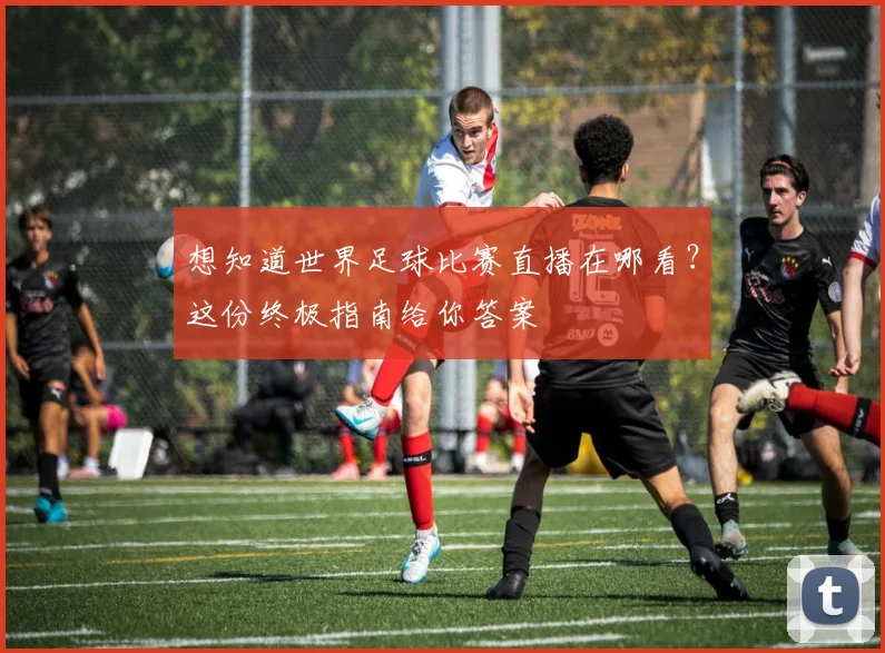 想知道世界足球比赛直播在哪看？这份终极指南给你答案